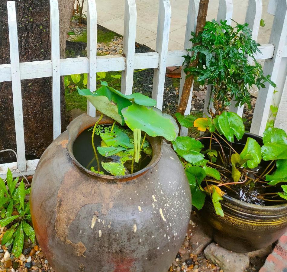 لوانغ برابانغ Lotus Corner - Heritage B&B المظهر الخارجي الصورة